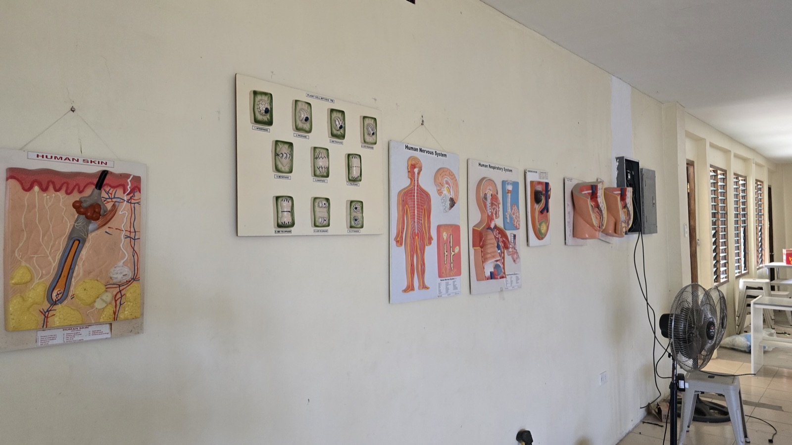 Pre-School Program